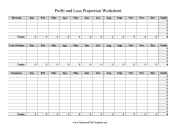 Profit and Loss Projection Worksheet