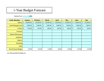 12-Month Budget Forecast template