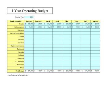 12-Month Operating Budget template