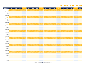 Annual Expense Budget template