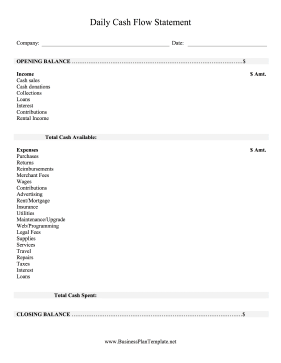 Daily Cash Flow Statement template