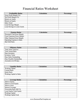 Financial Ratios Worksheet template