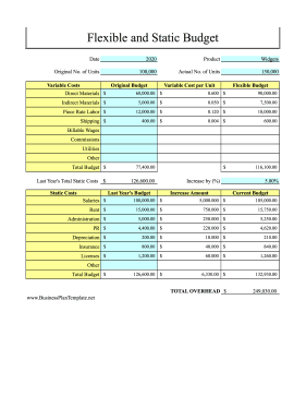 Flexible And Static Budget template