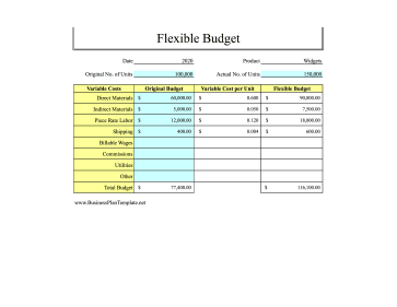 Flexible Budget template