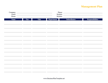 Management Plan template